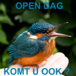 Opden Dag 2025