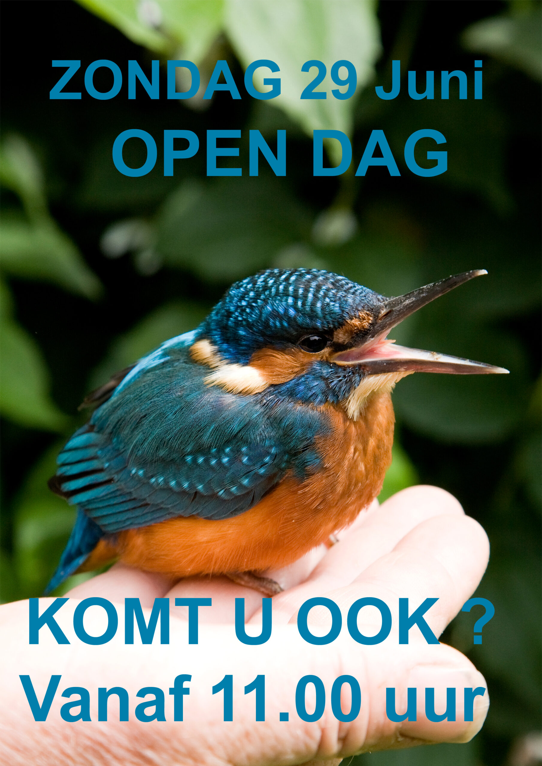 opden dag 2025